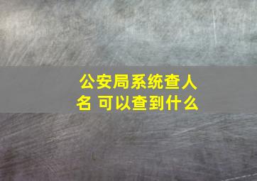 公安局系统查人名 可以查到什么